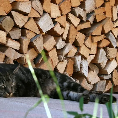 Riedl 4* Кёссен