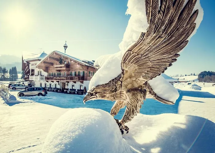 فندق Riedl كوسن