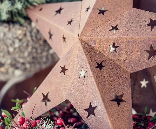 فندق Riedl كوسن